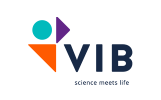 VIB Logo
